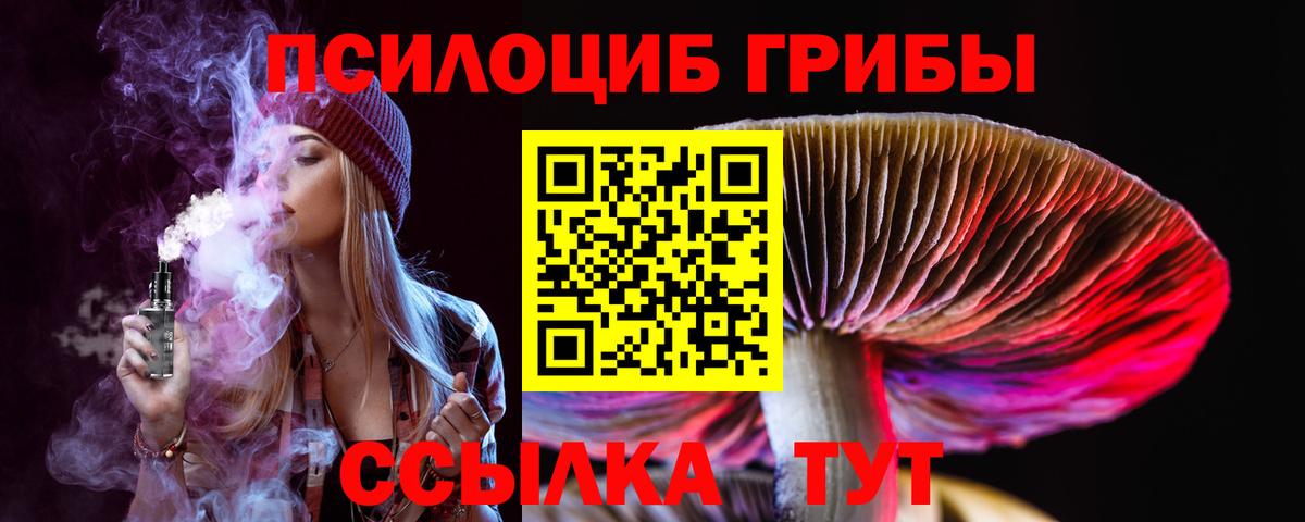 Ногинск  Псилоцибиновые грибы Cubensis  Вход с VPN  Галлюциногенные грибы Magic Shrooms 